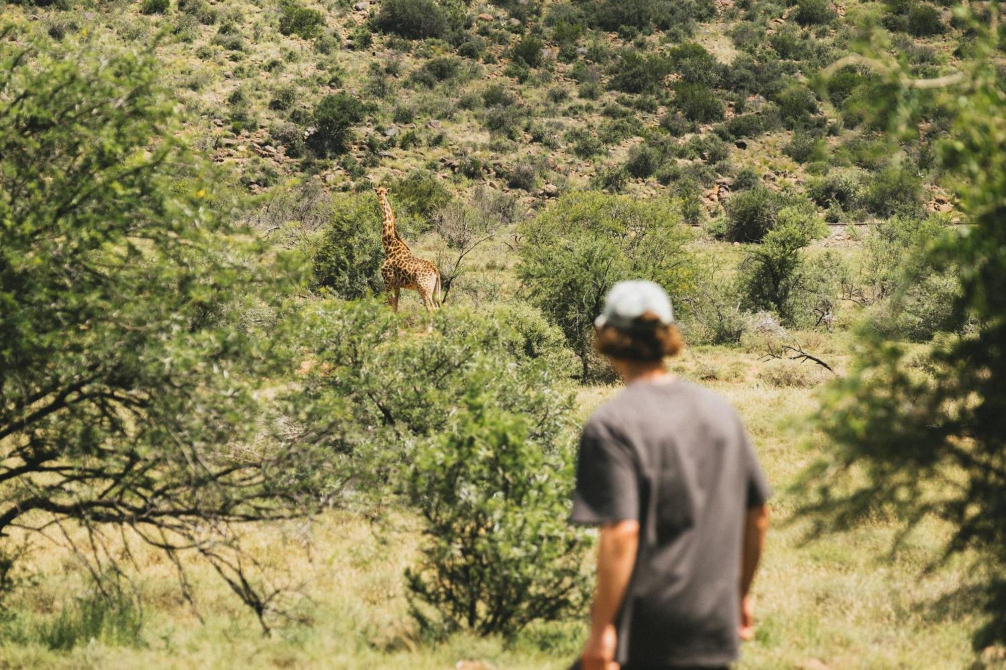 Buccara Wildlife Reserve Graaff-Reinet Zewnętrze zdjęcie