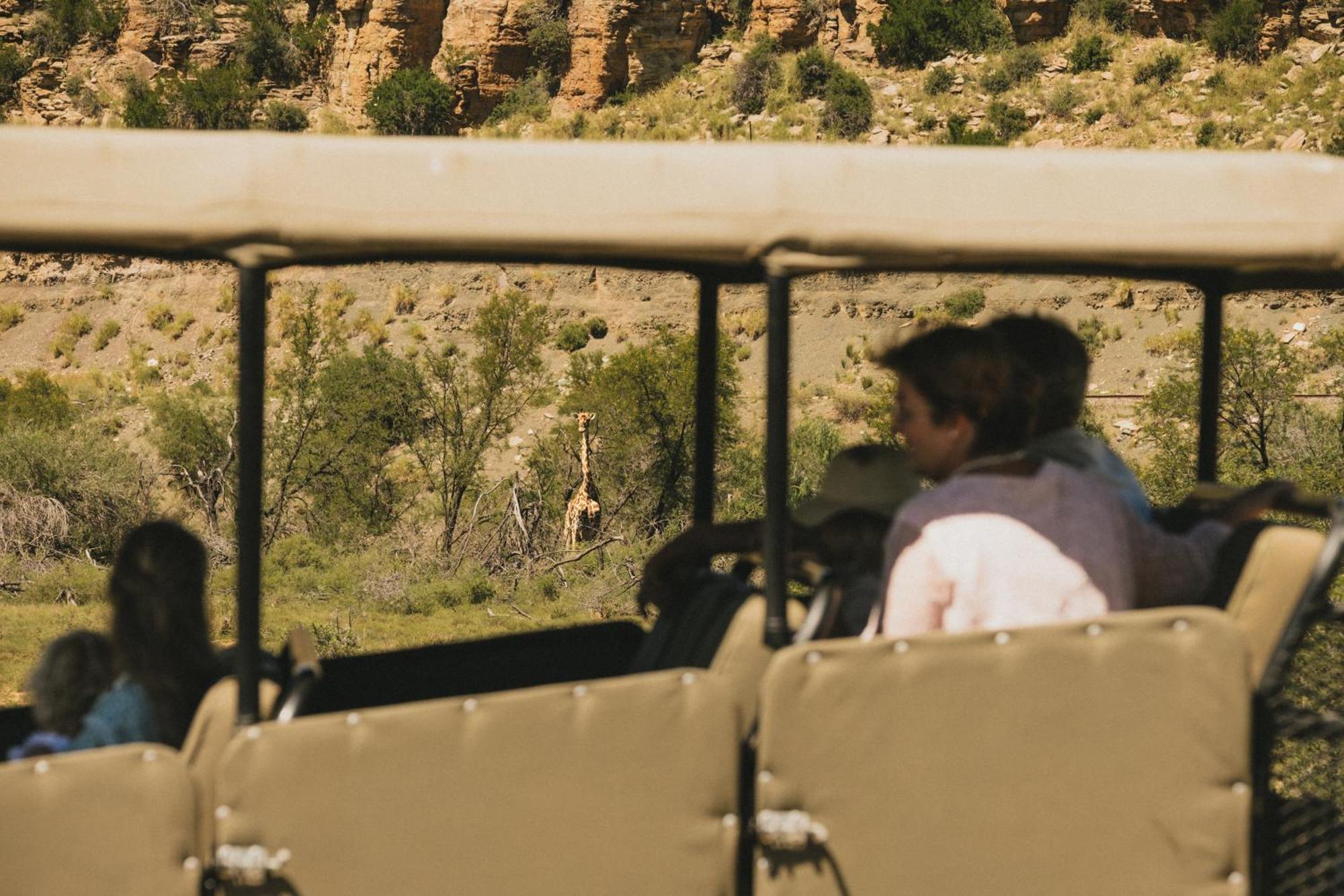 Buccara Wildlife Reserve Graaff-Reinet Zewnętrze zdjęcie